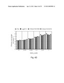 TRANSCRIPTION FACTOR FOR PROMOTING LATERAL ROOT GROWTH UNDER NITROGEN-LIMITING CONDITIONS diagram and image