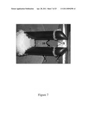 PROBE TIPS FOR AIRBORNE INSTRUMENTS USED TO MEASURE CLOUD MICROPHYSICAL PARAMETERS diagram and image