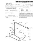 SWIMMING POOL RAKE AND DEBRIS CATCHER APPARATUS AND SYSTEM diagram and image