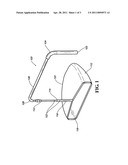 SWIMMING POOL RAKE AND DEBRIS CATCHER APPARATUS AND SYSTEM diagram and image