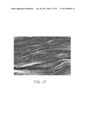 CARBON NANOTUBE COMPOSITE, METHOD FOR MAKING THE SAME, AND ELECTROCHEMICAL CAPACITOR USING THE SAME diagram and image