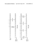 TRANSMISSION METHOD FOR WIRELESS RELAY SYSTEM AND RELAY STATION USING THE SAME diagram and image