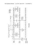 TRANSMISSION METHOD FOR WIRELESS RELAY SYSTEM AND RELAY STATION USING THE SAME diagram and image