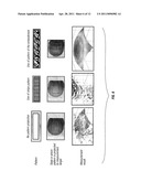 METHOD AND APPARATUS FOR GENERATING PROJECTING PATTERN diagram and image