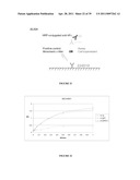 NOVEL ANTI-cMET ANTIBODY diagram and image