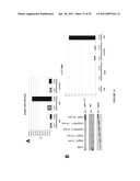 NOVEL ANTI-cMET ANTIBODY diagram and image