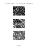 NOVEL ANTI-cMET ANTIBODY diagram and image