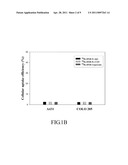 KIT FORMULATION FOR THE PREPARATION OF IMMUNOLIPOSOME DRUG IN COMBINED BIMODALITY RADIOCHEMOTHERAPY diagram and image