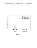 KIT FORMULATION FOR THE PREPARATION OF IMMUNOLIPOSOME DRUG IN COMBINED BIMODALITY RADIOCHEMOTHERAPY diagram and image