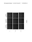 KIT FORMULATION FOR THE PREPARATION OF IMMUNOLIPOSOME DRUG IN COMBINED BIMODALITY RADIOCHEMOTHERAPY diagram and image