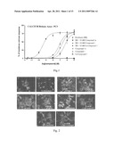 Bombesin Analog Peptide Antagonist Conjugates diagram and image