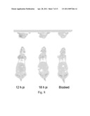 Bombesin Analog Peptide Antagonist Conjugates diagram and image