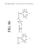 KDR AND VEGF/KDR BINDING PEPTIDES AND THEIR USE IN DIAGNOSIS AND THERAPY diagram and image