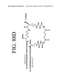 KDR AND VEGF/KDR BINDING PEPTIDES AND THEIR USE IN DIAGNOSIS AND THERAPY diagram and image