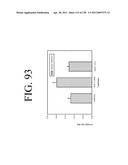 KDR AND VEGF/KDR BINDING PEPTIDES AND THEIR USE IN DIAGNOSIS AND THERAPY diagram and image