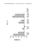 KDR AND VEGF/KDR BINDING PEPTIDES AND THEIR USE IN DIAGNOSIS AND THERAPY diagram and image