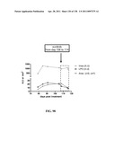 KDR AND VEGF/KDR BINDING PEPTIDES AND THEIR USE IN DIAGNOSIS AND THERAPY diagram and image