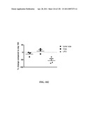 KDR AND VEGF/KDR BINDING PEPTIDES AND THEIR USE IN DIAGNOSIS AND THERAPY diagram and image