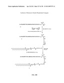 KDR AND VEGF/KDR BINDING PEPTIDES AND THEIR USE IN DIAGNOSIS AND THERAPY diagram and image