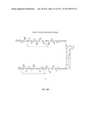 KDR AND VEGF/KDR BINDING PEPTIDES AND THEIR USE IN DIAGNOSIS AND THERAPY diagram and image