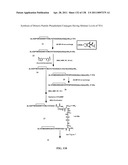 KDR AND VEGF/KDR BINDING PEPTIDES AND THEIR USE IN DIAGNOSIS AND THERAPY diagram and image