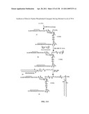 KDR AND VEGF/KDR BINDING PEPTIDES AND THEIR USE IN DIAGNOSIS AND THERAPY diagram and image