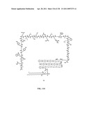 KDR AND VEGF/KDR BINDING PEPTIDES AND THEIR USE IN DIAGNOSIS AND THERAPY diagram and image