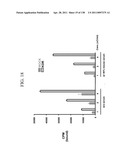 KDR AND VEGF/KDR BINDING PEPTIDES AND THEIR USE IN DIAGNOSIS AND THERAPY diagram and image