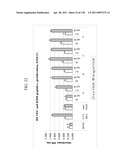 KDR AND VEGF/KDR BINDING PEPTIDES AND THEIR USE IN DIAGNOSIS AND THERAPY diagram and image