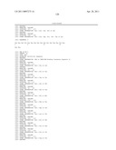 KDR AND VEGF/KDR BINDING PEPTIDES AND THEIR USE IN DIAGNOSIS AND THERAPY diagram and image