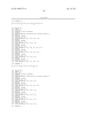 KDR AND VEGF/KDR BINDING PEPTIDES AND THEIR USE IN DIAGNOSIS AND THERAPY diagram and image