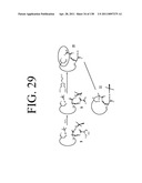 KDR AND VEGF/KDR BINDING PEPTIDES AND THEIR USE IN DIAGNOSIS AND THERAPY diagram and image