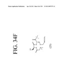 KDR AND VEGF/KDR BINDING PEPTIDES AND THEIR USE IN DIAGNOSIS AND THERAPY diagram and image