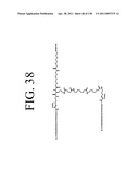 KDR AND VEGF/KDR BINDING PEPTIDES AND THEIR USE IN DIAGNOSIS AND THERAPY diagram and image