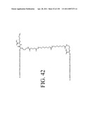 KDR AND VEGF/KDR BINDING PEPTIDES AND THEIR USE IN DIAGNOSIS AND THERAPY diagram and image