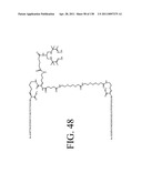 KDR AND VEGF/KDR BINDING PEPTIDES AND THEIR USE IN DIAGNOSIS AND THERAPY diagram and image