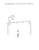 KDR AND VEGF/KDR BINDING PEPTIDES AND THEIR USE IN DIAGNOSIS AND THERAPY diagram and image