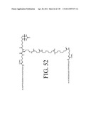 KDR AND VEGF/KDR BINDING PEPTIDES AND THEIR USE IN DIAGNOSIS AND THERAPY diagram and image