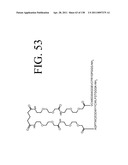 KDR AND VEGF/KDR BINDING PEPTIDES AND THEIR USE IN DIAGNOSIS AND THERAPY diagram and image