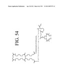 KDR AND VEGF/KDR BINDING PEPTIDES AND THEIR USE IN DIAGNOSIS AND THERAPY diagram and image