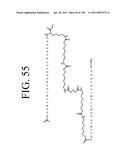 KDR AND VEGF/KDR BINDING PEPTIDES AND THEIR USE IN DIAGNOSIS AND THERAPY diagram and image