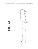 KDR AND VEGF/KDR BINDING PEPTIDES AND THEIR USE IN DIAGNOSIS AND THERAPY diagram and image