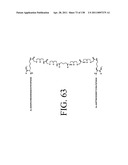 KDR AND VEGF/KDR BINDING PEPTIDES AND THEIR USE IN DIAGNOSIS AND THERAPY diagram and image