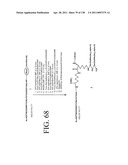 KDR AND VEGF/KDR BINDING PEPTIDES AND THEIR USE IN DIAGNOSIS AND THERAPY diagram and image