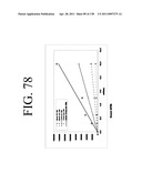 KDR AND VEGF/KDR BINDING PEPTIDES AND THEIR USE IN DIAGNOSIS AND THERAPY diagram and image