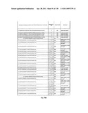 KDR AND VEGF/KDR BINDING PEPTIDES AND THEIR USE IN DIAGNOSIS AND THERAPY diagram and image