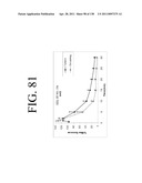 KDR AND VEGF/KDR BINDING PEPTIDES AND THEIR USE IN DIAGNOSIS AND THERAPY diagram and image