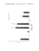 MULTIMERIC TIE 2 AGONISTS AND USES THEREOF IN STIMULATING ANGIOGENESIS diagram and image