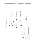 MULTIMERIC TIE 2 AGONISTS AND USES THEREOF IN STIMULATING ANGIOGENESIS diagram and image