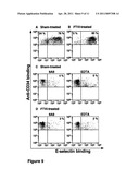 STEM CELLS TREATED BY IN VITRO FUCOSYLATION AND METHODS OF USE diagram and image